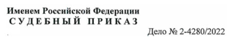 Формат номера судебного приказа без префикса